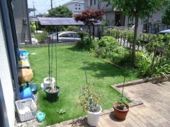 dscf8680