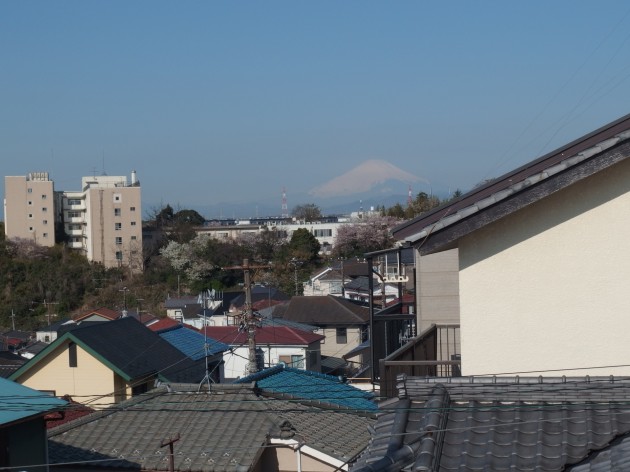 富士山