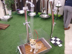 人工芝・立水栓・ペット用水栓