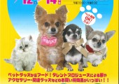 Pet博2019　in　横浜