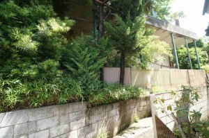 着工前は草木が生い茂っていました。 コンクリートスラブを支えている柱。柱の荷重に耐えられず傾いたブロック擁壁 がありした。