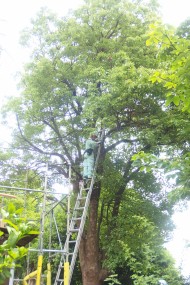 Yamaso 工事完了後画像