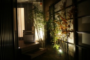庭の植栽  お庭の植栽をライトアップ 住宅の中からみても幻想的な雰囲気を楽しめるように