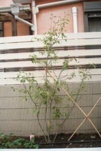Yamaso 工事完了後画像