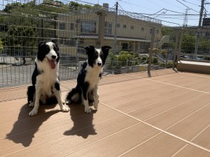 ちょっと慣れてきました