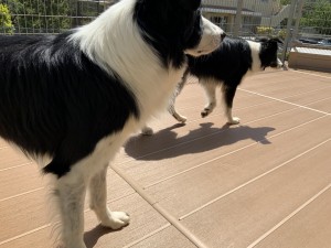 感触を確認