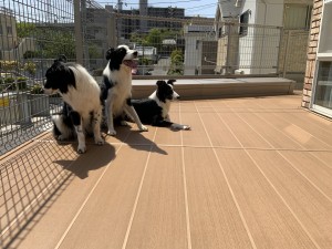 くつろいでいられそうです