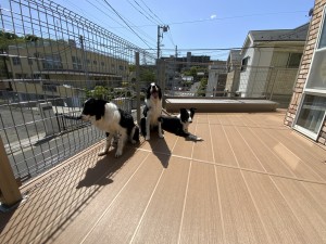 Yamaso 工事完了後画像