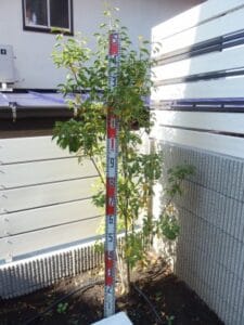 Yamaso 工事完了後画像
