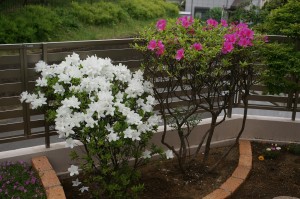 Yamaso 工事完了後画像