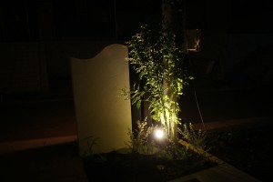 門壁裏の植栽のライティングです。