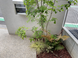 Yamaso 工事完了後画像