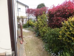 Before