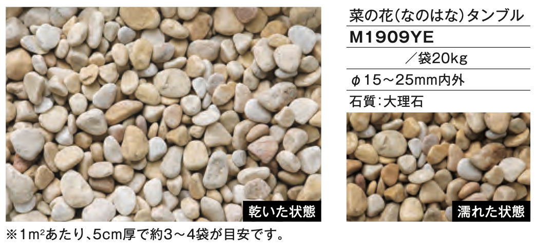 菜の花（なのはな）　タンブル　M1909YE
