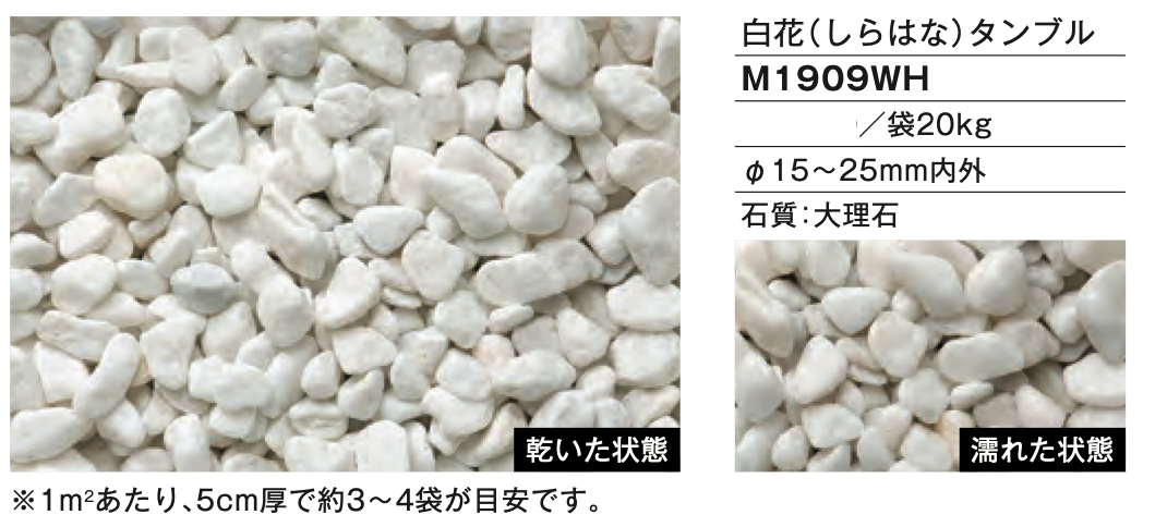 白花（しらはな）タンブル　ファイングラベル　M1909WH