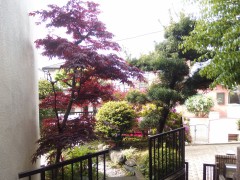 Yamaso 工事前画像