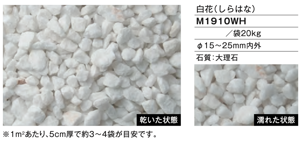 白花（しらはな）　ファイングラベル　M1910WH