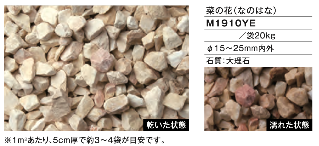 菜の花（なのはな）　ファイングラベル　M1910YE