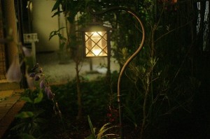 ランタンの光が、宿根草を照らし、穏やかな雰囲気に。