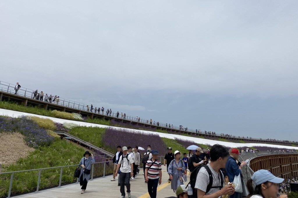 Yamaso 社員旅行2025 大阪 大阪・関西万博 スカイウォーク 散歩 眺め 一周 Yamaso 社員旅行2025 大阪 大阪・関西万博 スカイウォーク 散歩 眺め 一周