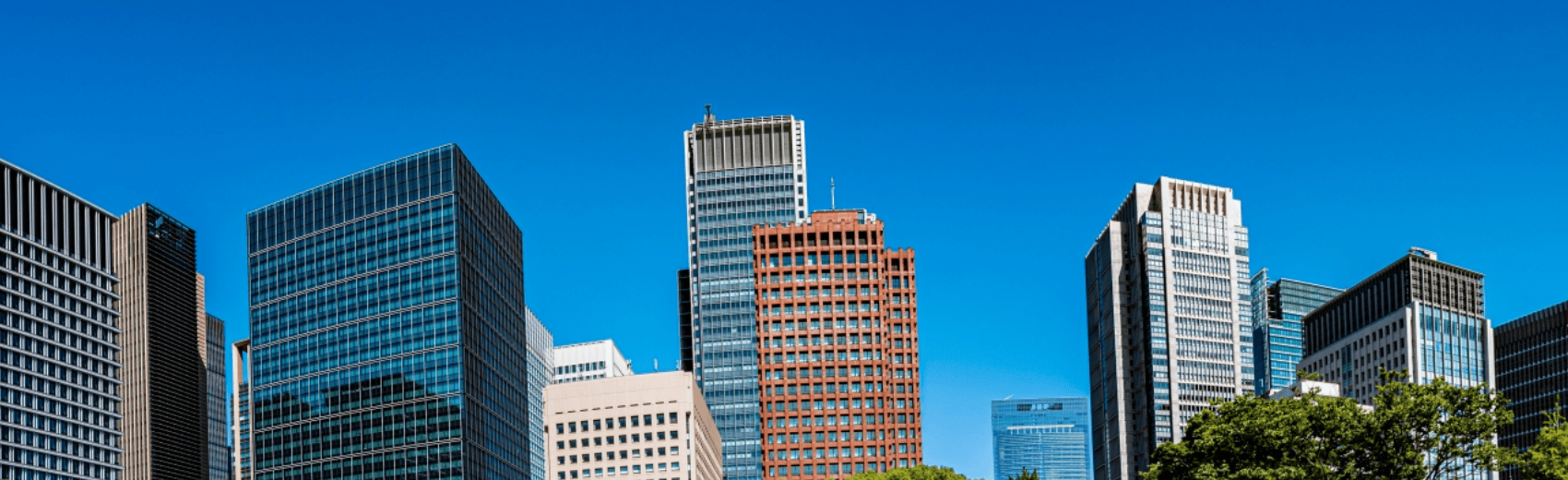 企業情報