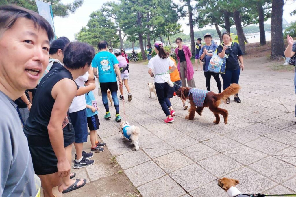 yamasoブログ　山創の健康推進会　横浜海の公園ラン　2025/09/28　第5回横浜海の公園夏マラソン　ドッグRUNRUN　くぅちゃん　応援