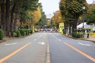 スタート地点 2b2d68448810a8018dccf501802770a9
