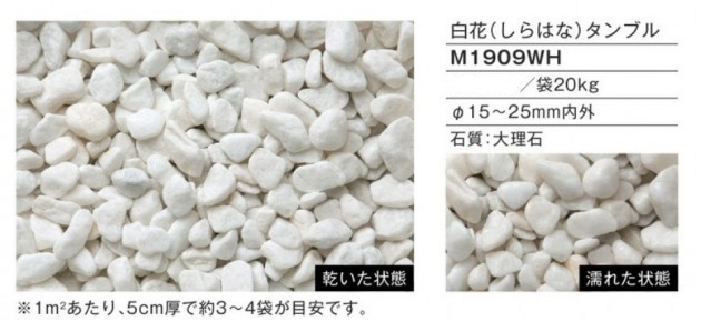 2ec67f2398c841a8b0007c39bbef5531-column11