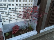 19 アプローチ横 植栽 4df34e27da85dc41a28fc6232caad04b1