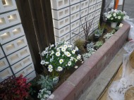 20 アプローチ横 植栽 5438149ac7a72b3b24cd1dcce5f47d34