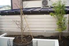 モクプラボード DSC023521