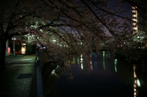 DSC03998 DSC03998