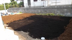 DSCF1087 DSCF10871