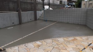DSCF1112 DSCF11121