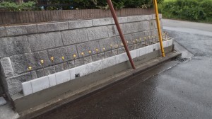 DSCF1129 DSCF11291