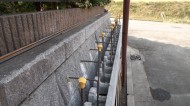 DSCF1135 DSCF1135