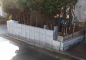 DSCF1146