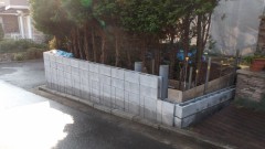 DSCF1146 DSCF1146