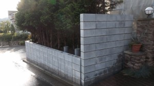 DSCF1152 DSCF1152