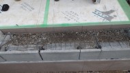 DSCF1288 DSCF1288