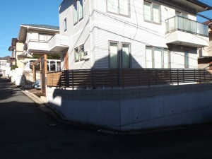 DSCF1354 DSCF1354