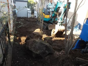 DSCF1731 DSCF1731