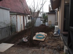DSCF1749 DSCF1749
