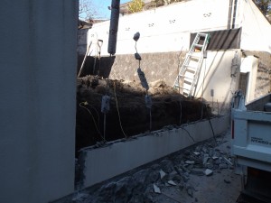 DSCF1785 DSCF1785