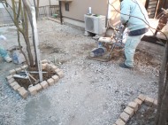 DSCF1943 DSCF1943