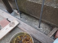DSCF2029 DSCF2029