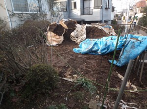 DSCF2082 DSCF2082