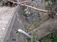 DSCF7187 DSCF7187