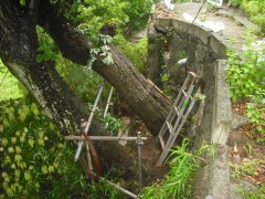 DSCF7941 DSCF79411