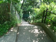 dscf7976 DSCF7976